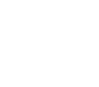the phone
