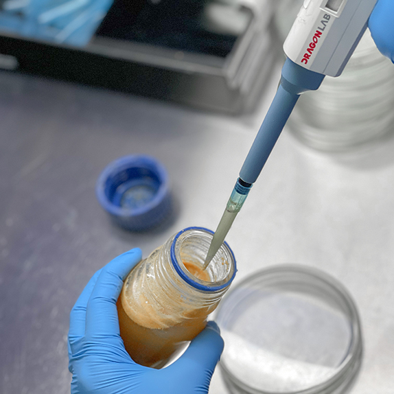Proses Mikrobiologi