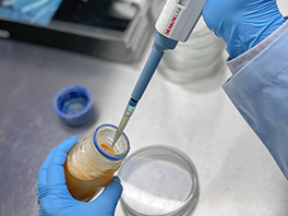 Proses Uji Mikrobiologi